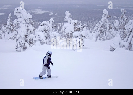 Snowboarder at Ruka downhill, Finland, Kuusamo Stock Photo