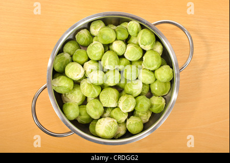 Brussels sprouts (Brassica oleracea var. gemmifera), in a saucepan Stock Photo