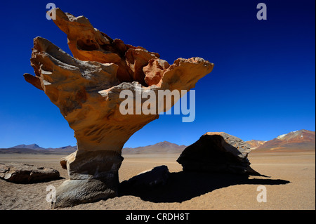 Arbol de Piedra, tree of stone, Desierto, Uyuni, Bolivia, South America Stock Photo