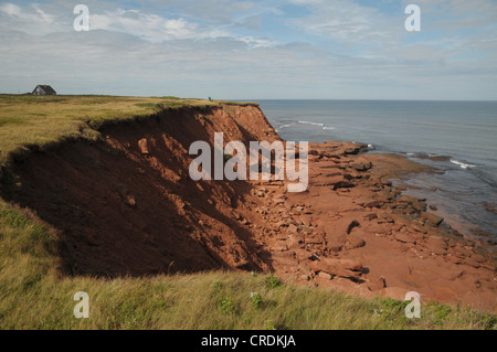 The red cliffs of Prince Edward Island, Canada provide a scenic view of the Atlantic Ocean. Stock Photo