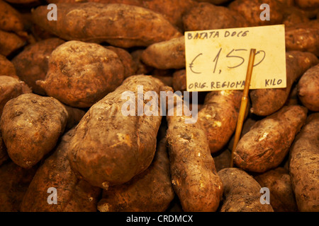 sweet potato (Ipomoea batatas), at the market: sweet potatoes, Portugal, Madeira, Funchal Stock Photo