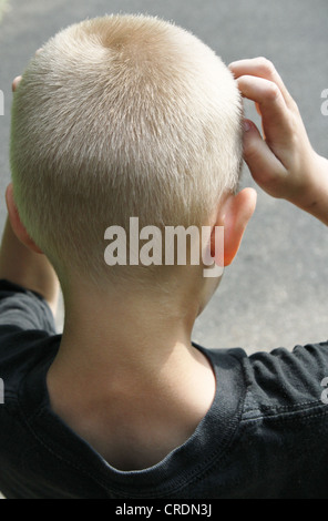 A young boy scratching his head as seen from behind.