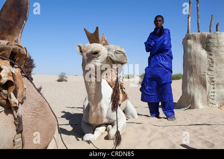 Music festival in Timbuktu, Mali, West Africa. Stock Photo