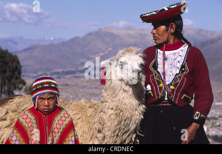 Quechua boy with a llama, Cuzco, Peru Stock Photo - Alamy