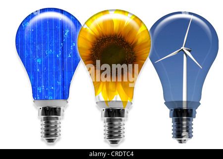 Incandescent bulbs filled with solar cells, a sunflower and a wind turbine, symbolic image for alternative energy Stock Photo