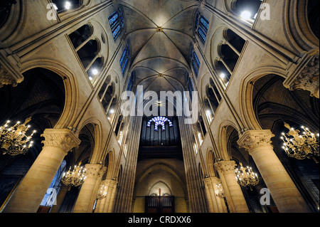 Notre Dame de Paris, indoor photography, France, Paris Stock Photo