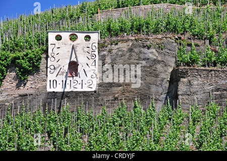 Zeltinger Sonnenuhr, largest and best preserved sundial in the German vineyards, Bernkastel-Rachtig, Moselle Valley Stock Photo