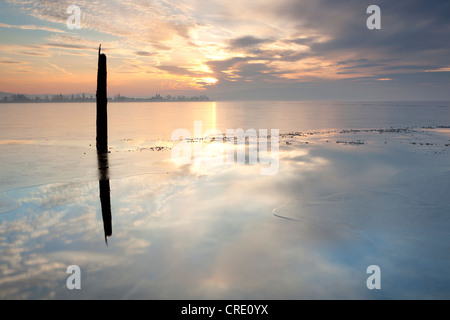View in the evening on Reichenau island over a frozen Lake Constance, Baden-Wuerttemberg, Germany, Europe Stock Photo