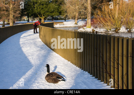 A man in a red jacket admires the view from the Sackler Crossing bridge as snow covers the gardens in winter - Kew Gardens,London,UK Stock Photo