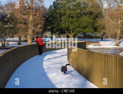 A man in a red jacket admires the view from the Sackler Crossing bridge as snow covers the gardens in winter - Kew Gardens,London,UK Stock Photo