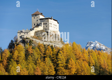 Tarasp Castle surrounded by an autumn-coloured larch forest, Scuol, Lower Engadin, Grisons, Switzerland, Europe Stock Photo