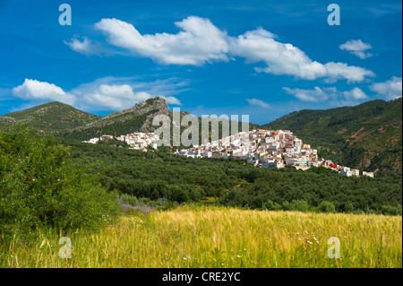Small village of Moulay Idriss with the tomb of King Idriss, sacred place of Moroccan Muslims, northern Morocco, Africa Stock Photo