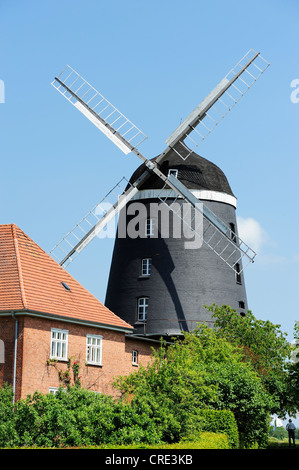 Windmill, Woldegk, Mecklenburg-Western Pomerania, Germany, Europe Stock Photo