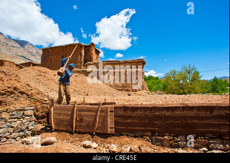 Worker building a rammed-earth wall for a new house, the clay is compacted in a mould box with a wooden pestle, Ait Bouguemez Stock Photo