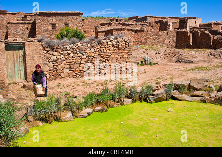 Elderly woman carrying a canister of water from a rain water cistern in a village, Ait Ourhaine, Anti-Atlas Mountains Stock Photo