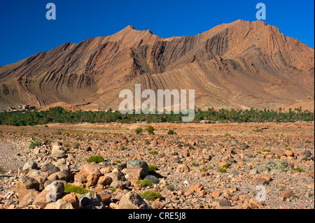 Mountain landscape in the valley of Ait Mansour with palm trees and a small village, Anti-Atlas mountain range, southern Morocco Stock Photo