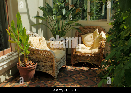 Victorian conservatory, Down House, United Kingdom Stock Photo