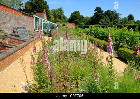 Wildflower garden and greenhouse at Down House, home of Charles Darwin, Downe, Kent UK Stock Photo