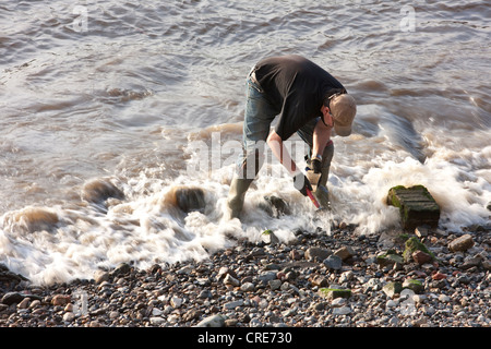 Mudlark Stock Photo