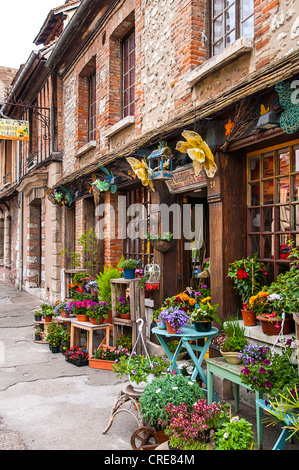 florist, Petit Andely, Les Andelys, Normandy, France Stock Photo