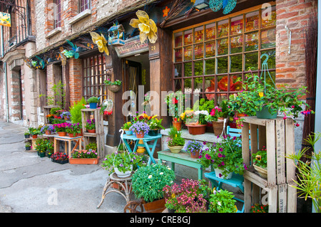 florist, Petit Andely, Les Andelys, Normandy, France Stock Photo