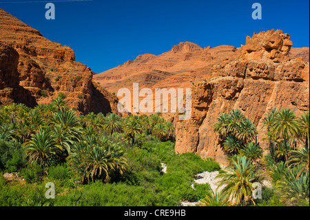 Mountain landscape with palm trees in the valley of Ait Mansour, Anti-Atlas, southern Morocco, Africa Stock Photo