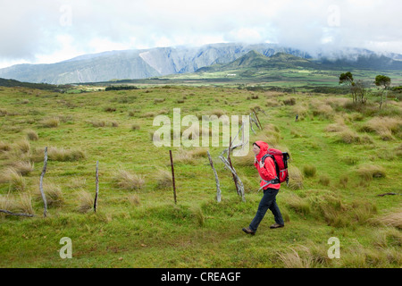 Hiker on the plateau Plaine des Cafres at Bourg-Murat, La Reunion island, Indian Ocean Stock Photo