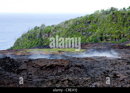 Still warm lava from an eruption of the volcano Piton de la Fournaise in 2007 steaming after rain, at Piton Sainte-Rose Stock Photo