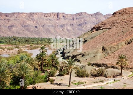 Draa valley near Agdz, Morocco, Africa Stock Photo