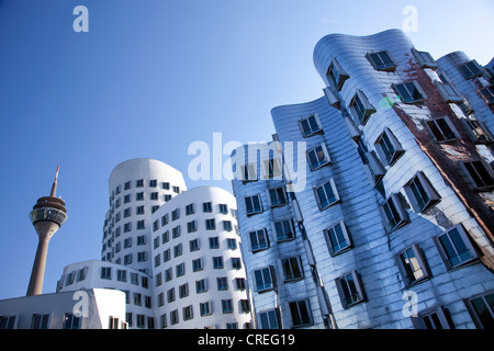 Neuer Zollhof buildings by American architect Frank Owen Gehry, Rheinturm tower at the back, Medienhafen port in Duesseldorf Stock Photo