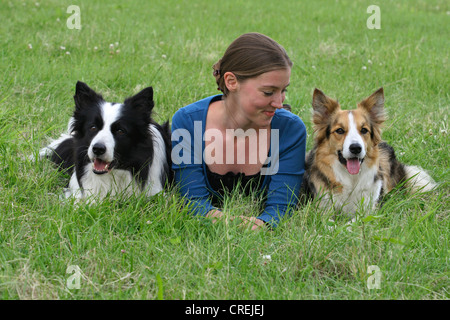 Border Collie (Canis lupus f. familiaris), young woman lying between two dogs on a meadow Stock Photo