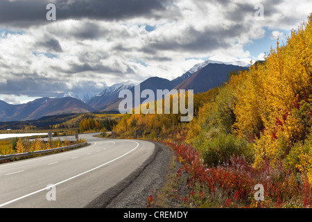 Indian Summer, autumn along Dezadeash Lake, Haines Road, towards Haines Pass, Alaska, leaves in fall colours, St. Elias Stock Photo