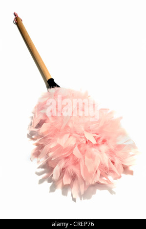 A pink feather duster Stock Photo