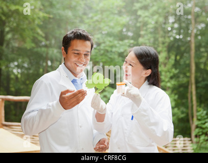 Scientists examining leaf outdoors Stock Photo