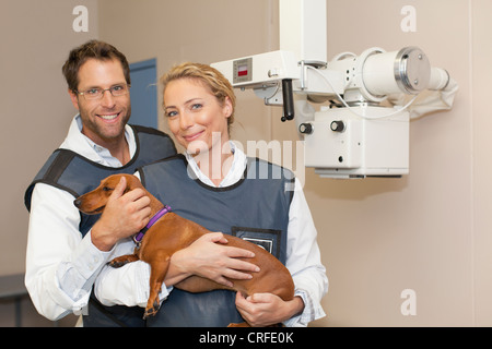 Veterinarians petting dog in office Stock Photo