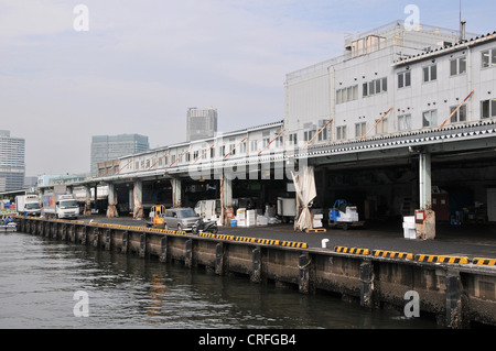 Tsukiji fish market ,Tokyo,Japan, Asia Stock Photo