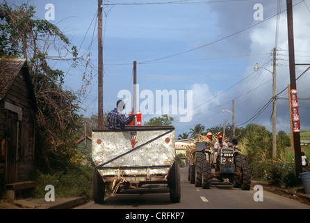 St Kitts Men On Tractor After Harvesting Sugar Cane Stock Photo