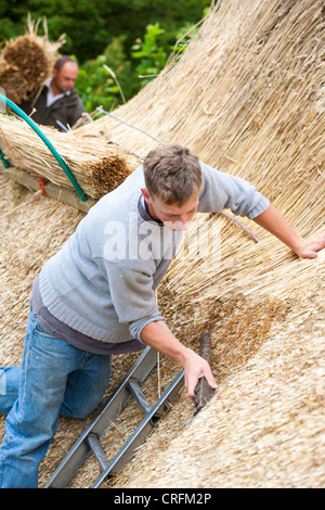 A skilled thatcher thatching a barn roof in Dorset, UK Stock Photo