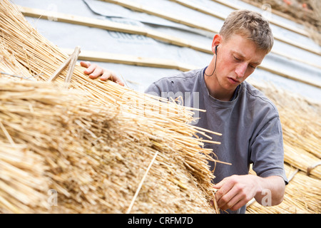 A skilled thatcher thatching a barn roof in Dorset, UK Stock Photo