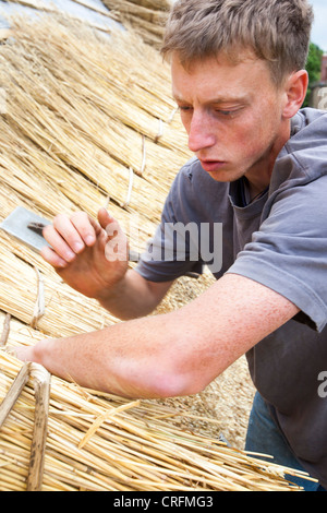 A skilled thatcher thatching a barn roof in Dorset, UK Stock Photo