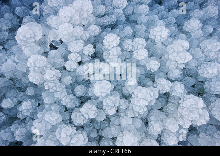 storage for logs in winter with ice, Germany, Rhineland-Palatinate Stock Photo