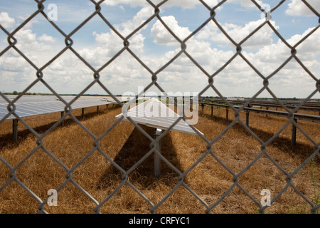 solar panels at farm in Texas seen through chain link fence produces emission free green power Stock Photo