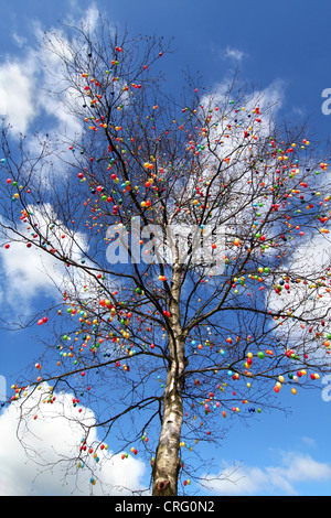 easter tree decorated with colourful eggs on a market place, Germany, Lower Saxony, Aurich Stock Photo