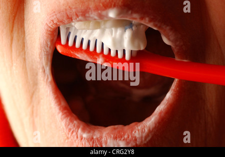 Facial close-up of a woman brushing her teeth. Stock Photo