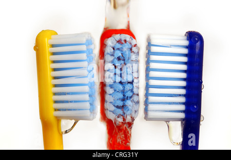 Water runs over three differently coloured toothbrushes. Stock Photo