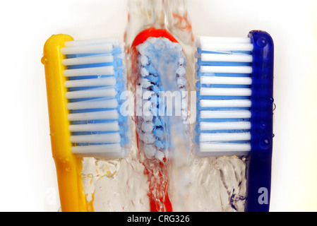 Water runs over three differently coloured toothbrushes. Stock Photo