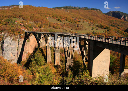 Tara Bridge, Tara River Canyon, Durmitor National Park, Montenegro Stock Photo