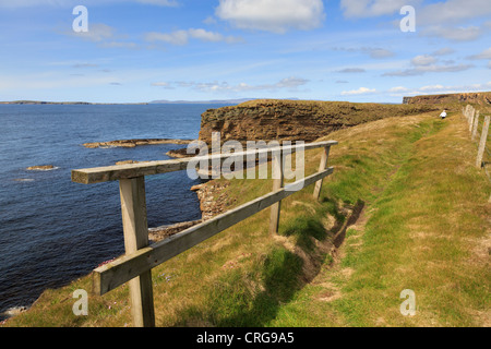 Coast path clifftop walk on seacliffs at The Wing near Burwick, South Ronaldsay, Orkney, Scotland, UK Stock Photo