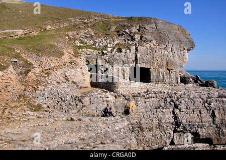 A view of Tilly Whim caves Durlston Country Park UK Stock Photo