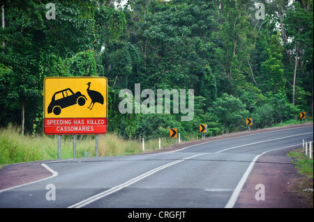 Southern Cassowary, Double-wattled Cassowary, Australian Cassowary, Two-wattled Cassowary (Casuarius casuarius), warning sign, Australia, Queensland, South Mission Beach Stock Photo